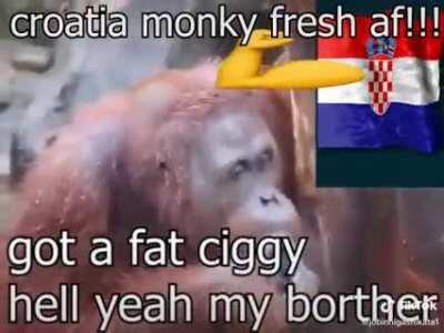 Gey slovenia sucky monkey😡😫🤮🤮