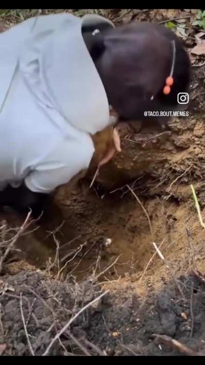 She uncovered the cursed root of unending falling.