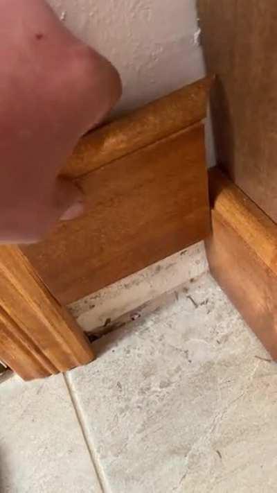 When your cope falls right into place