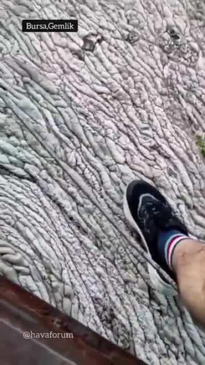 Bursa Gemlik'te müsilajın son hali. Korkunç. (video bana ait değil)