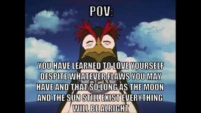 SLEF ACCEPTANCE CONGIFRMED?!??!?!!1111