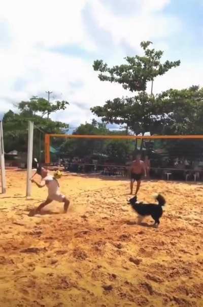 Hey turks, I find yours ancesters 