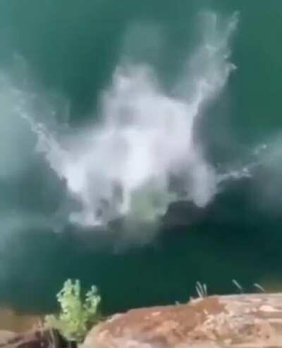 I'm with the coolest mom I've ever OH