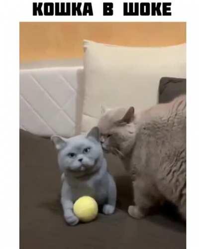 Заказчик доволен