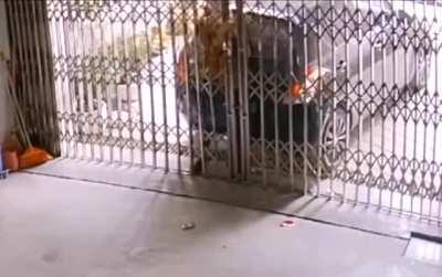 Forgot the parking brakes