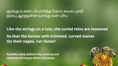 A Sangam poem that challenges stereotypical ideas of masculinity