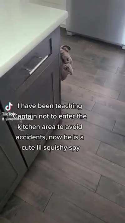 Squishy Spy