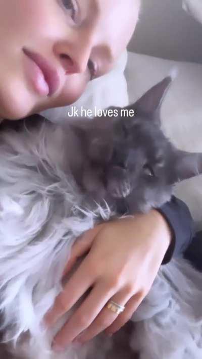 Instagram Story cat video 2024-05-26