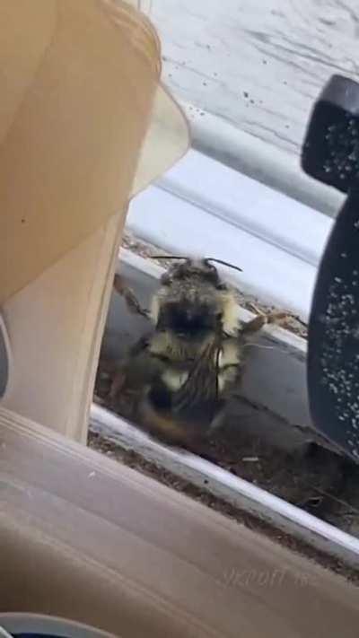 YOO.. SO HOT🔥🔥