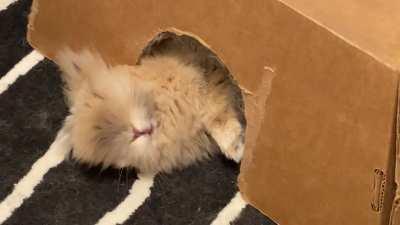 how she sleeps knowing i'd do anything for her: