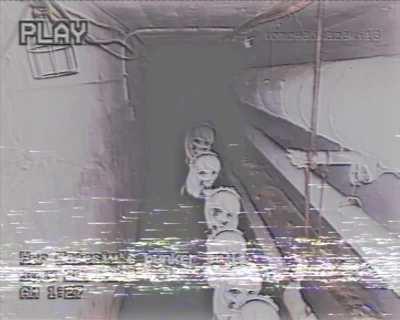 Recently we've noticed activity in your bunker, your Highness. We've gathered the footage and found the culprit