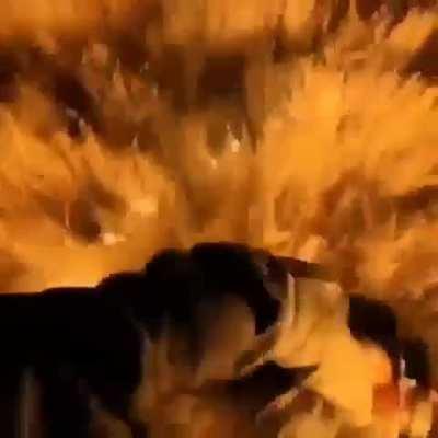 Driller mains be like: