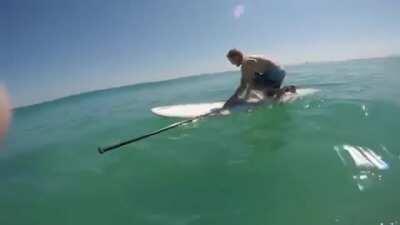 Imagine a gigantic squid pulling your leg into the cold deep ocean