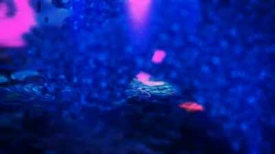 Worked on a melodic track that changes drumkits midway, becoming a bit more aggressive. Would love your opinion!