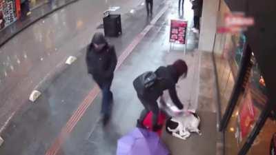 This woman gives her scarf to the dog so that it doesn't get cold,