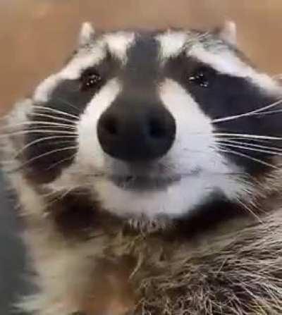 what is this subreddit?