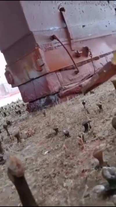 Does this tentacle field need a NSFW flair?