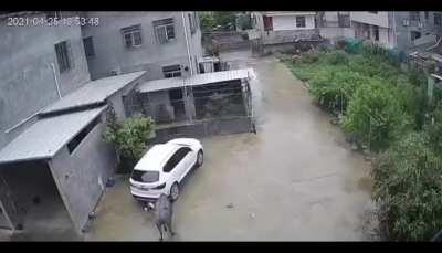 HMFT after I met a bull