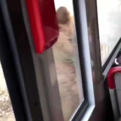 “Act natural, they won’t even know I’m not a tourist.”