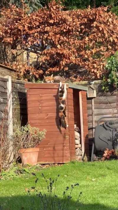 Your territory has been taken