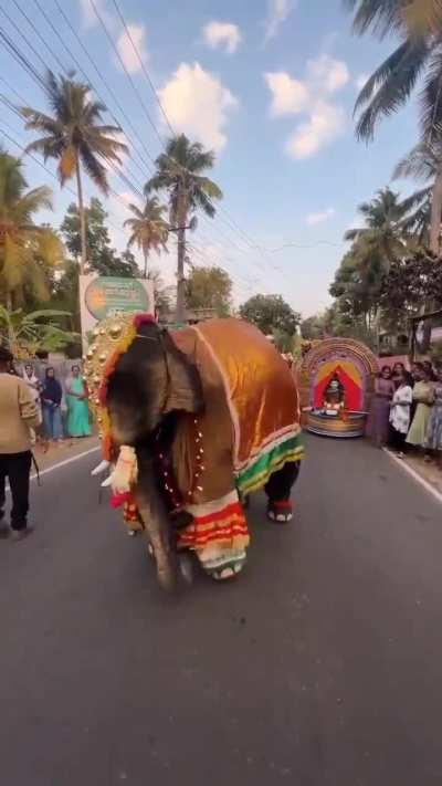 Nammadey aaana inganeyalaaaa..😭😭🐘🐘🐘