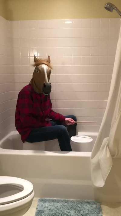 Drum competition; Goat vs. Horse!