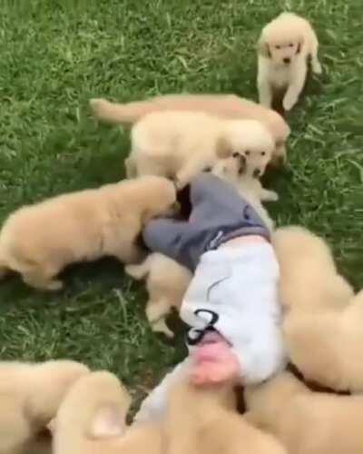 Using a Level 2 Rat Swarm on that one lone guard be like