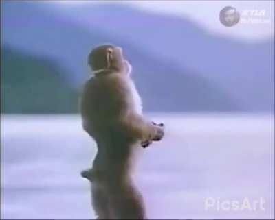 He just listening music,hope you guys have a good day