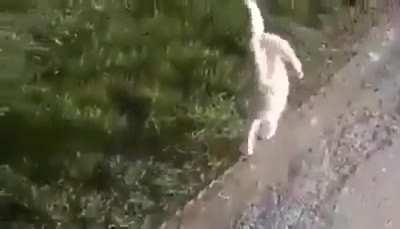 Туру-руру-ру