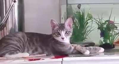 Nothing to see here. Nothing happened. 