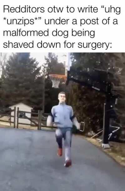 Run ambitious young Redditor