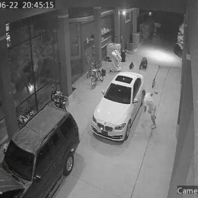 Generous man donates his scooter to bears [x post]