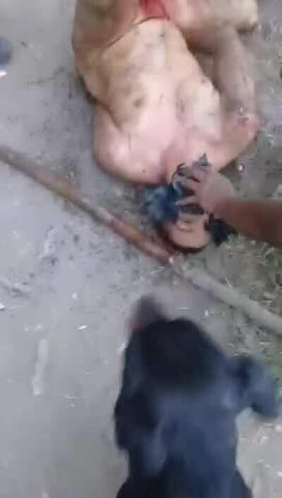 The punishment for pedophilia scum