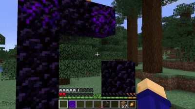 Mojang don't want you to know about this 🤫💯🟪