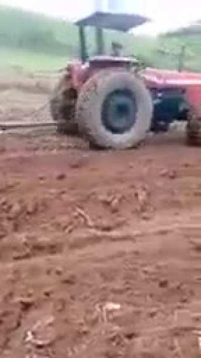 Os humilhados serão exaltados (🥜)