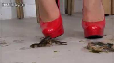 Emma crush crawdad in red heels
