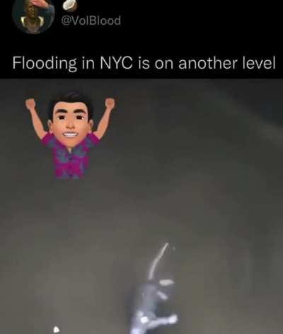 who knew pizza-rat was a pro swimmer