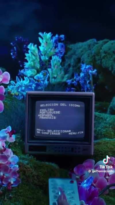 Orquídeas Album Announcement