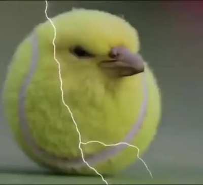 AAAhhhaHHHhhAAaaaAA...HhhHHAAAAAhhAaaa-voice of radio free neruda