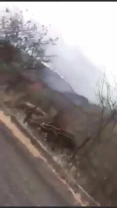 Here’s footage of the ambush between CJNG and Mexican marines that occurred on Sunday (June 7, 2020)