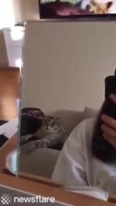 “What is this savagery?”