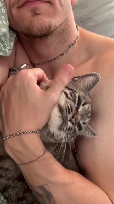 He loves caresses, and then leaves when I stop 😔