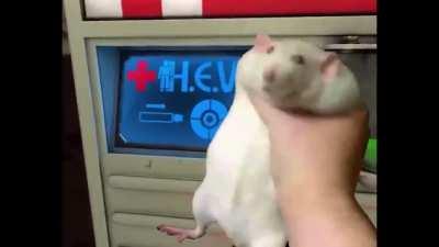 Make sure that your HEV rat is fully charged