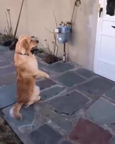 Waiting your best friend to come out and play