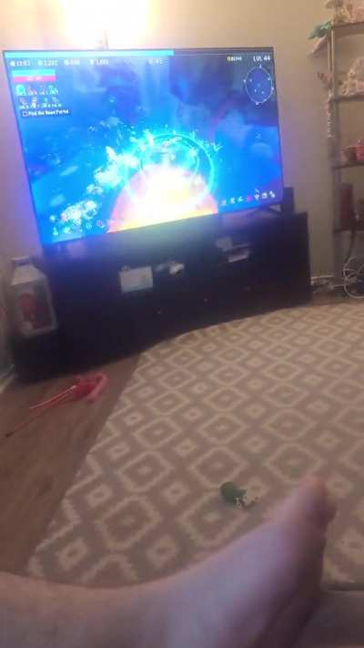 Me, the cats and the fam watching sin