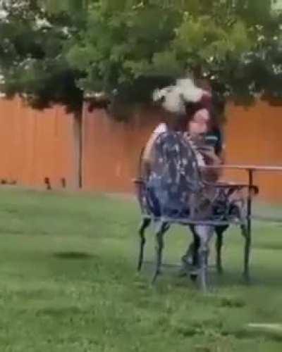 🐔 AAAAAAAAAAAAAAAAA