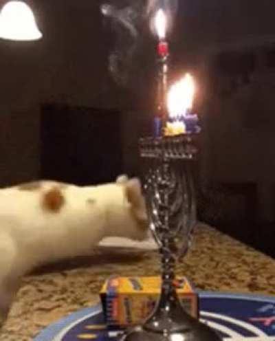 Only you can prevent fir...nvm