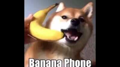nana fone