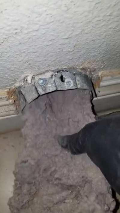 Years worth of dryer lint