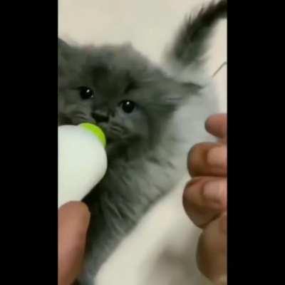 Aww look at her Moving ears !!